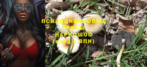 ALPHA-PVP Козловка