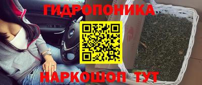 крисы Изобильный
