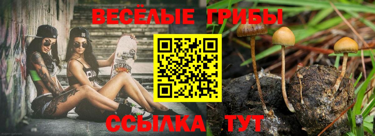 Галлюциногенные грибы Magic Shrooms Фрязино